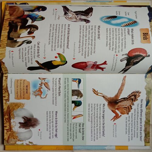 My Big Encyclopedia Of Knowledge
