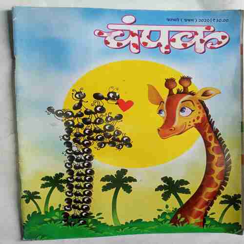 Champak  ( February 1st 2020 )