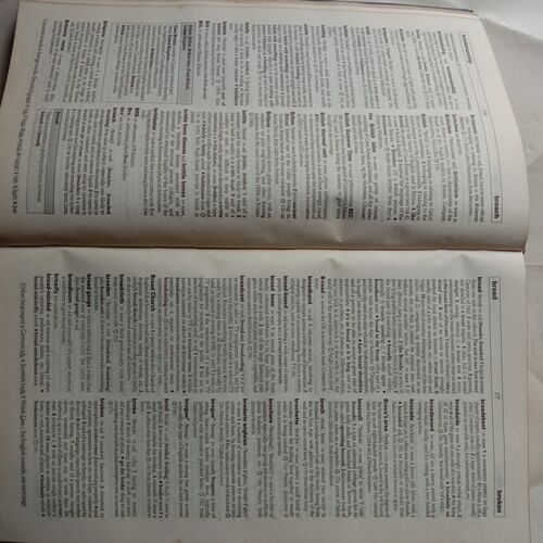 Chambers 21st Century Dictionary