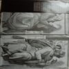 Michelangelo