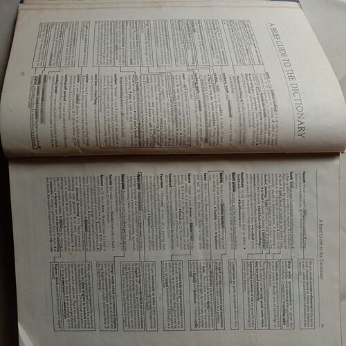 Chambers 21st Century Dictionary
