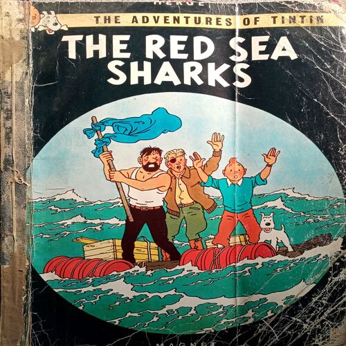 The Red Sea Sharks