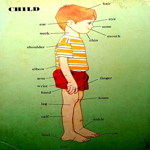 A picture book of words