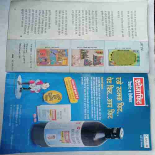 Champak  (  May 1st 2019)