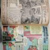 Raj comics (   Sheeshe Ka Mahal/ Jadugarni ke jadu )