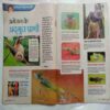Nandan ( September 2016 )
