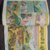 Raj comics (   Sheeshe Ka Mahal/ Jadugarni ke jadu )