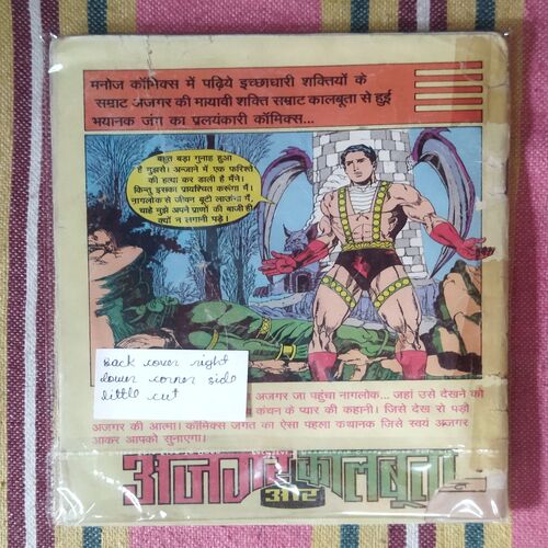 DEVATA KA TAAJ (BACK COVER RIGHT LOWER CORNER SIDE LITTLE CUT)