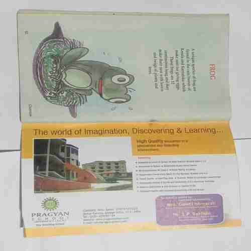 Champak  (  February 2nd 2011)