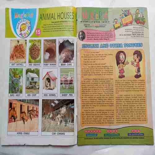 Magic Pot ( September 20, 2017 )