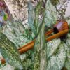 Yektara  ( Handmade Music Instrument )