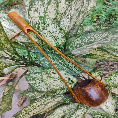 Yektara  ( Handmade Music Instrument )