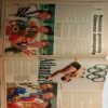 Sport Star (August 24, 1996)