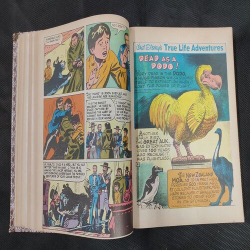 ( 12 In 1 Single Binding ) Chandamama Classics And Comics . Edition :- { 1. Chandamama ( Vol. 02 , No. 01 ) .  2. Chandamama ( Vol. 02 , No. 02 ) 3. Chandamama ( Vol. 02 , No. 03 ).  4. Chandamama ( Vol. 02 , No. 04 ) . 5. Chandamama ( Vol. 02 , No. 05 ).   6. Chandamama ( Vol. 02 , No. 06 ) .7. Chandamama ( Vol. 02 , No. 07 ) .  8. Chandamama ( Vol. 02 , No. 08 ).  9. Chandamama ( Vol. 02 , No. 09 ) .  10.Chandamama ( Vol. 02 , No. 10 ). 11. Chandamama ( Vol. 02 , No. 11 ) .  12. Chandamama ( Vol. 02 , No. 12 ) }.