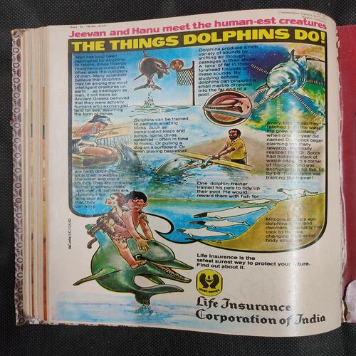 ( 12 In 1 Single Binding ) Chandamama Classics And Comics . Edition :- { 1. Chandamama ( Vol. 02 , No. 13 ) 20th April 1982 .  2. Chandamama ( Vol. 02 , No.14 )  3. Chandamama ( Vol. 02 , No. 15 ) 20th May 1982 .  4. Chandamama ( Vol. 02 , No. 16 ) 5th June 1982 . 5. Chandamama ( Vol. 02 , No. 17 ) 20th June 1982 .   6. Chandamama ( Vol. 02 , No. 18 ) 5th July 1982 . 7. Chandamama ( Vol. 02 , No. 19 ) 20th July 1982 .  8. Chandamama ( Vol. 02 , No. 20 ) 5th August 1982 .  9. Chandamama ( Vol. 02 , No. 21 ) 21th August - 5th september 1982 .  10. Chandamama ( Vol. 02 , No. 22 ) 6th - 20th September 1982 . 11. Chandamama ( Vol. 02 , No. 23 ) 21 September - 5th October 1982 .  12. Chandamama ( Vol. 02 , No. 24 ) 6th - 20th October 1982 }.