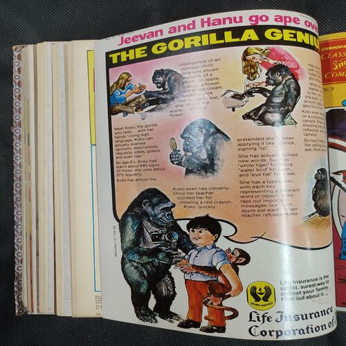 ( 12 In 1 Single Binding ) Chandamama Classics And Comics . Edition :- { 1. Chandamama ( Vol. 02 , No. 13 ) 20th April 1982 .  2. Chandamama ( Vol. 02 , No.14 )  3. Chandamama ( Vol. 02 , No. 15 ) 20th May 1982 .  4. Chandamama ( Vol. 02 , No. 16 ) 5th June 1982 . 5. Chandamama ( Vol. 02 , No. 17 ) 20th June 1982 .   6. Chandamama ( Vol. 02 , No. 18 ) 5th July 1982 . 7. Chandamama ( Vol. 02 , No. 19 ) 20th July 1982 .  8. Chandamama ( Vol. 02 , No. 20 ) 5th August 1982 .  9. Chandamama ( Vol. 02 , No. 21 ) 21th August - 5th september 1982 .  10. Chandamama ( Vol. 02 , No. 22 ) 6th - 20th September 1982 . 11. Chandamama ( Vol. 02 , No. 23 ) 21 September - 5th October 1982 .  12. Chandamama ( Vol. 02 , No. 24 ) 6th - 20th October 1982 }.