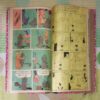 (INDRAJAL COMICS) (VOLUME-6) (10 IN 1 SINGLE BINDING), 1.> THE LEGEND OF VALOUR (PART-1), 2.> THE LEGEND OF VALOUR (PART-2), 3.> THE FUGITIVE, 4.> THE GOLD HUNT, 5.> THE MILLION DOLLAR RANSOM, 6.> IN THE DEVIL'S GRIP, 7.> THE NINGH ON THE FORSAKEN ISLAND, 8.> THE LOST ISLAND, 9.> THE JAIL BREAK, 10.> THE HIGHWAY GANG