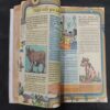 ( 10 In 1 Single Binding ) Tinkle . Edition :- Tinkle No. ( 301 , 302 , 303 , 304 , 305 , 306 , 307 , 308 , 309 & 310 ).