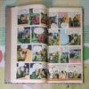 (INDRAJAL COMICS) (10 IN 1 SINGLE BINDING), 1.> THE GREEN-EYED MONSTER(PART-2), 2.>THE GREEN-EYED MONSTER(PART-3), 3.>THE WITCHES COVE, 4.> JALADASYUON KE JAAL MEIN (LANGUAGE-HINDI), 5.> VAHASHI SHAHJADA(LANGUAGE-HINDI), 6.> GHAGHAKATE SITAARE(LANGUAGE-HINDI), 7.> THE TREASURE TRAIL, 8.> BRUSH WITH DEATH, 9.> THE GAME OF TREACHERY, 10.> BEYOND THE BOILING RIVER
