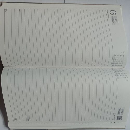 Diary 2013