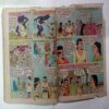 Divyastro  Ka  Chor  (Front Cover Missing / Coverless)