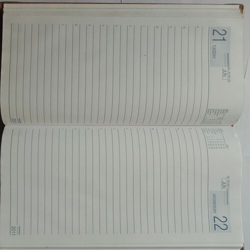Personal Diary 2011