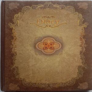 Diary 2011