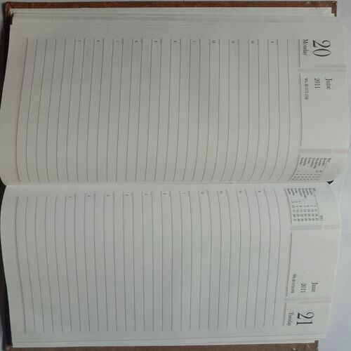 Diary 2011