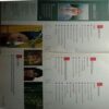 Osho World (August 2012)