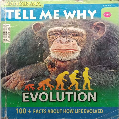 Tell Me Why (February 2012)