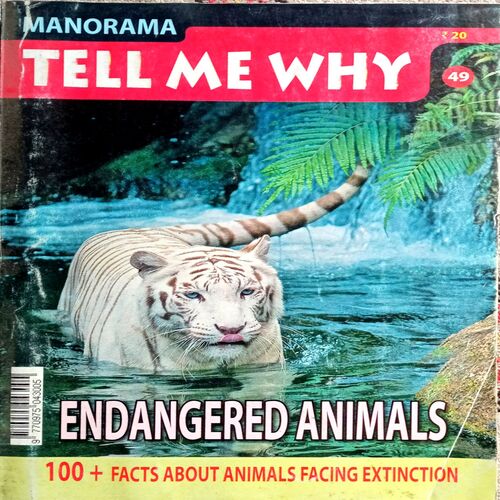 Tell Me Why (No. 49)
