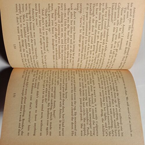 To Kill A Mockingbird (By Harper Lee)