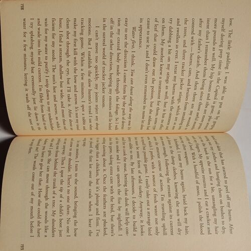 The Hunger Games (By Suzanne Collins)