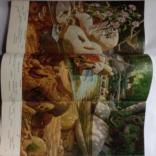 National Geographic (April 1977)