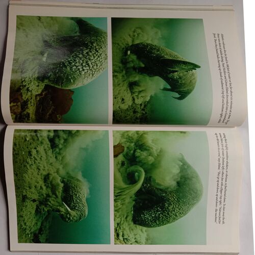 National Geographic (December 2013)