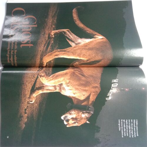 National Geographic (December 2013)