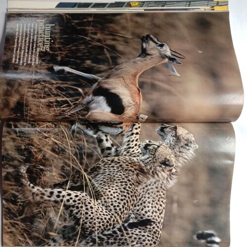 National Geographic (January 2005)