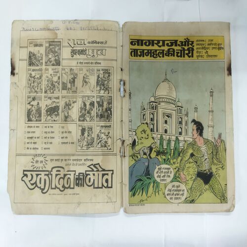 NAGRAJ AUR TAJMAHAL KI CHOREE