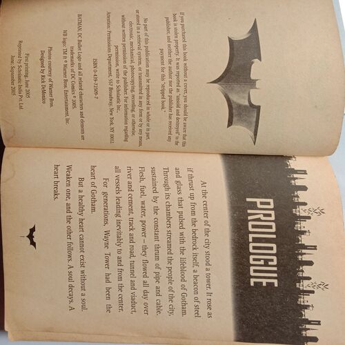 Batman Begins- The Junior Novel