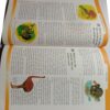 Children's Knowledge Bank Volume 3