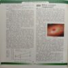 Children's Knowledge Bank Volume 3