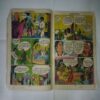NAGRAJ KEE KABR (COVER LESS)
