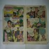 NAGRAJ KEE KABR (COVER LESS)
