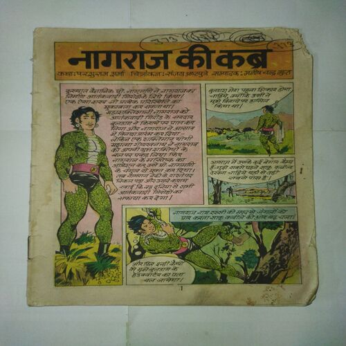 NAGRAJ KEE KABR (COVER LESS)