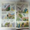 SILVER JUBILEE EDITION (Nagraj First comics and dhruv comics big size)