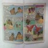 Chaar  sau  Buddhi   (  Story Start From Page No. 3 / Page No. 1  And 2 Missing / Cover Less )