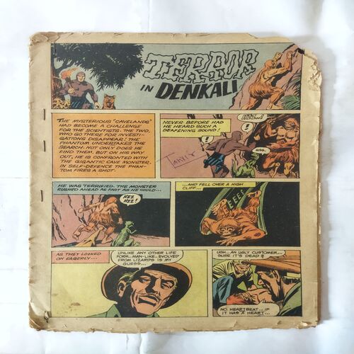 TERROR IN DENKALI (COVER LESS)