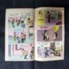 PRAN'S RAMAN AND POP MUSIC (FRONT COVER LITTLE CUT ON DOWN CORNER SIDE)
