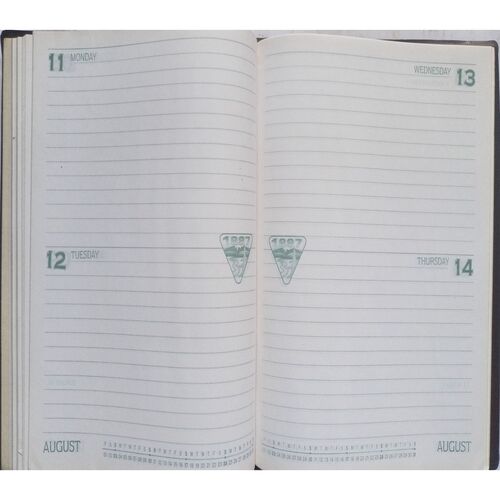 Prince Diary (1997)
