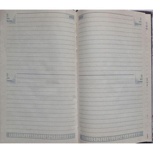 Executive Diary (2003)